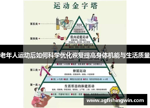 老年人运动后如何科学优化恢复提高身体机能与生活质量